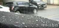 [날씨] 16일 제주 시간당 30㎜ 요란한 비…낮 최고 33도