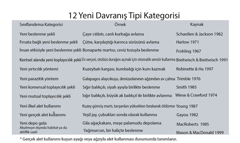 Bilim insanlarının yeni davranışları sınıflandırdığı 12 kategori ve örnekleri