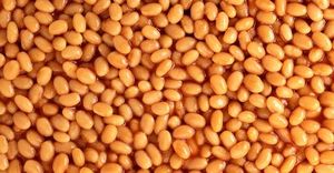 Vietti Recalls Yellowstone Baked Beans Over Undeclared Soy Allergen