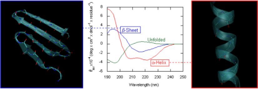 İki farklı üç boyutlu protein yapısının (sağda α-heliks ve solda β-pilili) oluşturdukları dairesel dikroizm grafiği