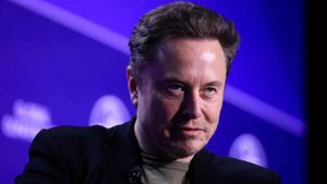 Elon Musk Appointed As Special Government Employee Under Trump