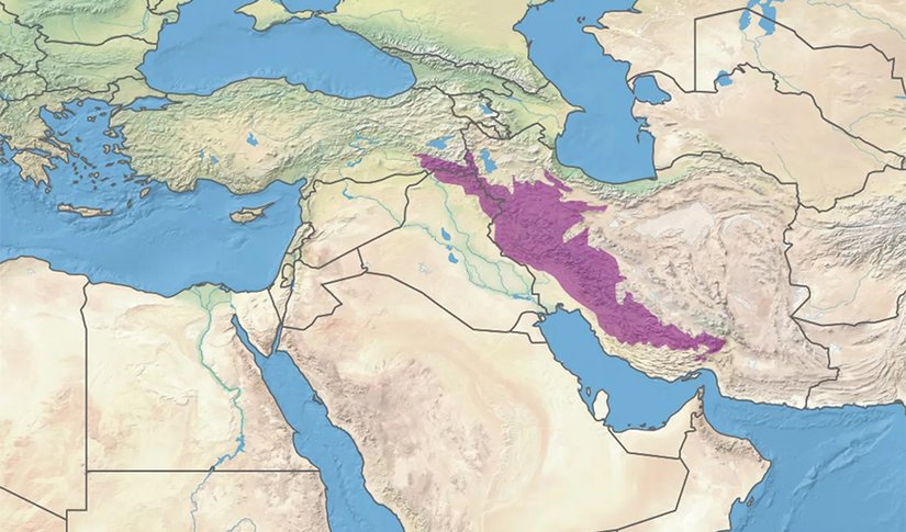Sapiens popülasyonunun yoğunlaştığı bölge