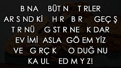 Ara Türler ve Geçiş Formları: İhtiyacımız Olan Hepsine Sahibiz!