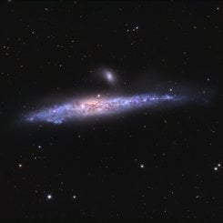 The Whale Galaxy