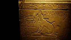 Antik Mısır’daki Kedi Mumyaları