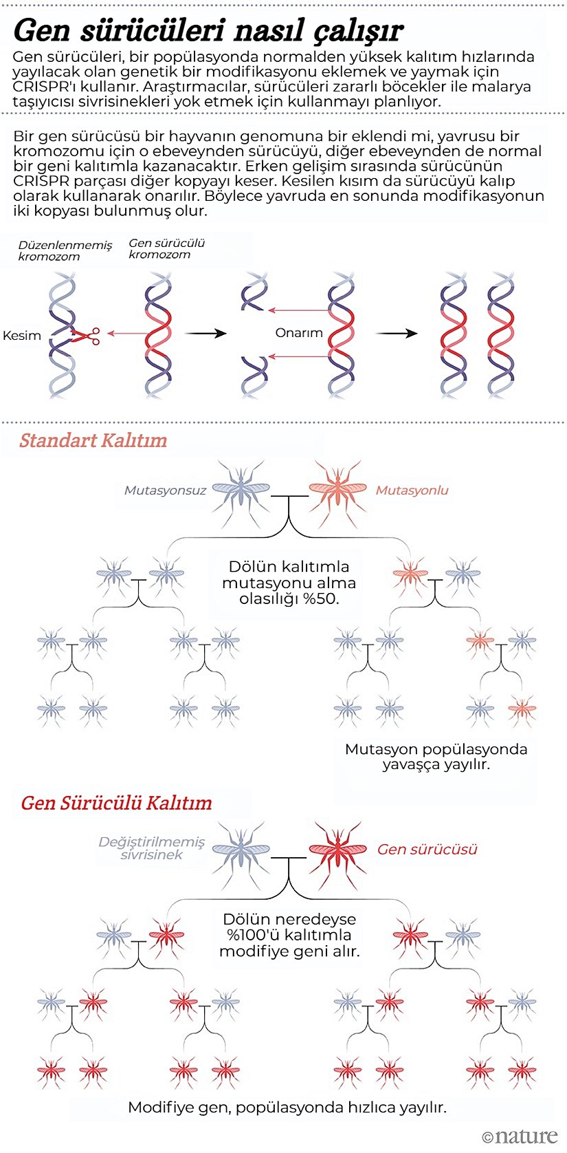 Gen sürücüleri nasıl çalışır