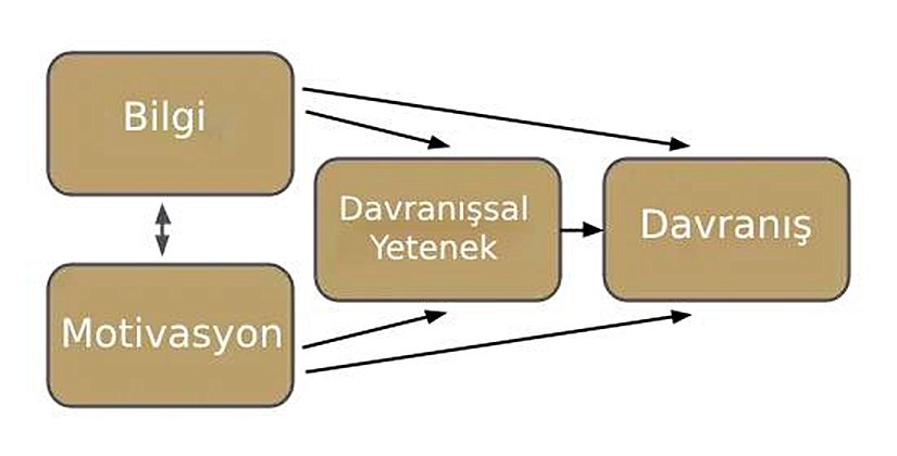 Bilgi-Motivasyon-Davranışsal Yetenek Model'inin şematize edilmiş hali.