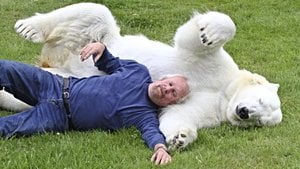 Farkımız Ne? İnsanlar ve Diğer Canlıların Özelliklerinin Kıyası...