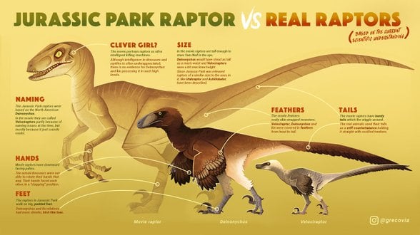 Jurassic Park filmi vs gerçek görünüşle Deinonychus