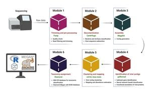 New Viral Taxonomic Pipeline Promises Accurate Classifications