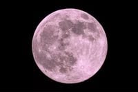 Luna de Flores 2025; ¿cuántos días faltan para ver el fenómeno astronómico en México?