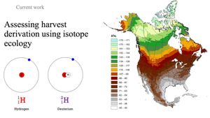 Unraveling Dietary Shifts Of Southeast Asian Herbivores Through Isotopic Analysis