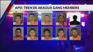 Tren De Aragua Gang Members Released After Drug Raid