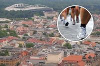 Leipzig Marathon: Diese Sperrungen erwarten Euch heute