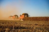 Brazil’s Agricultural Export Bonus