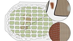 Tunç Çağı Kurban Çukurlarında İpek İzleri Keşfedildi!