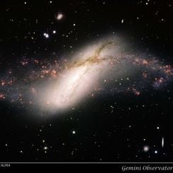 Polar Ring Galaxy NGC 660