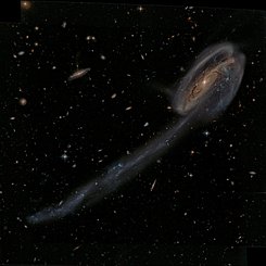  Arp 188 and the Tadpole's Tail 