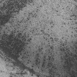 Polar Polygons on Mars