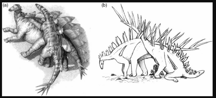stegosaurus çiftleşme pozisyonu