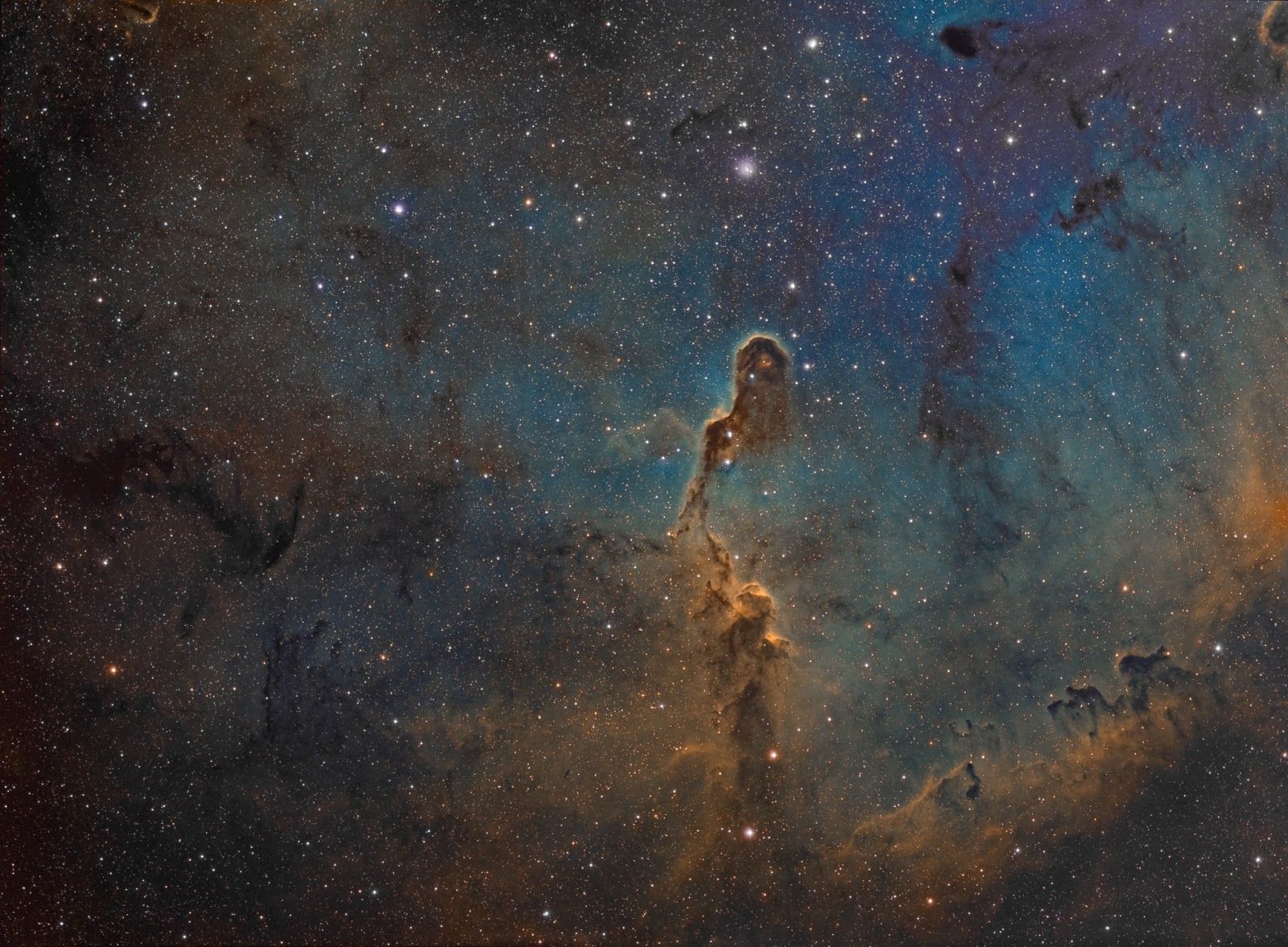  The Elephant's Trunk in IC 1396 