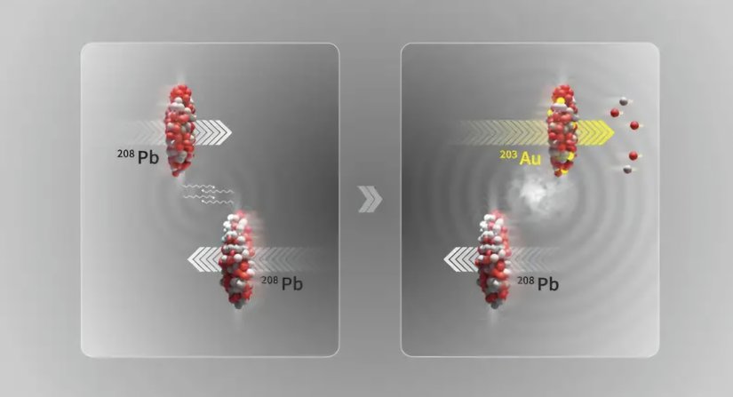 LHC'deki iki kurşun ( 208 Pb) iyon ışınının çarpışmadan birbirine yakın geçtiği ultra-çevresel çarpışma . Elektromanyetik ayrışma sürecinde, bir çekirdekle etkileşime giren bir foton, çekirdeğin iç yapısının salınımlarını uyarabilir ve az sayıda nötron (iki) ve protonun (üç) atılmasıyla sonuçlanabilir ve geride altın ( 203 Au) çekirdeği kalır.