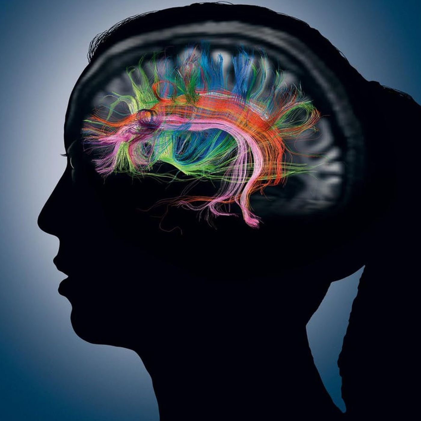 İnsan Hafızasına ve Anılara Ne Kadar Güvenebiliriz?