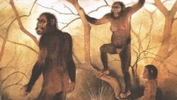 İnsan Evriminde Bipedalizm'e Geçiş ve Aile Yapısının Oluşmasıyla İlişkisi