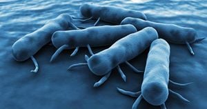 Salmonella's Deception Revealed Through New Research