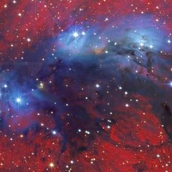 NGC 6914 Nebulae