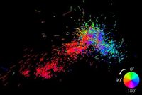 Our closest neighboring galaxy may be being torn apart