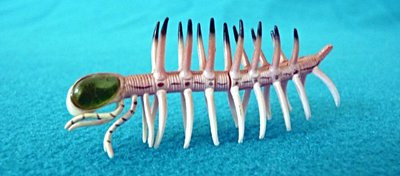 Garip Solucanımsı Fosil Nihayet Evrim Ağacı'ndaki Yerini Buldu!