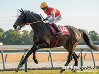 【阪神大賞典2025】有名人の予想に乗ろう！　大久保先生、鈴木淑子さん、霜降り明星・粗品さんなどズラリ！競馬通の芸能人・著名人が全力ジャッジ！