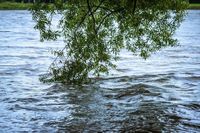 Mumbai paralyzed: highest level of danger due to record rains