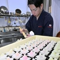 かぶと和菓子、カラフルに　「こどもの日」前に製造ピーク　真岡の和菓子店｜下野新聞デジタル
