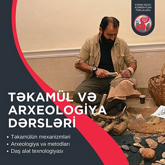 Evrim Ağacı Azerbaycan: Təkamül və Arxeologiya Dərsləri