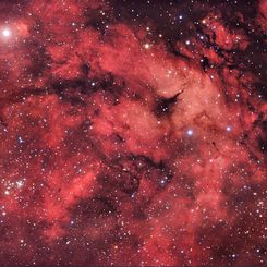 A Cygnus Starfield