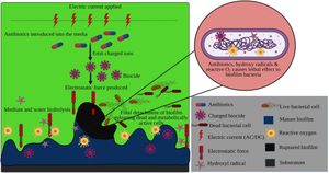 New Study Unveils Electric Fields' Potential Against MRSA Biofilms