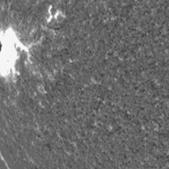  A Large Tsunami Shock Wave on the Sun 