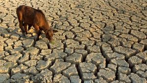 Texas Takes Action Amid Severe Drought