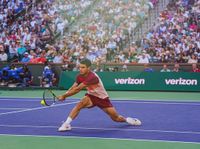 David Goffin Hails Carlos Alcaraz's Stellar Performance at Miami Masters