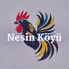 Nesin Matematik Köyü