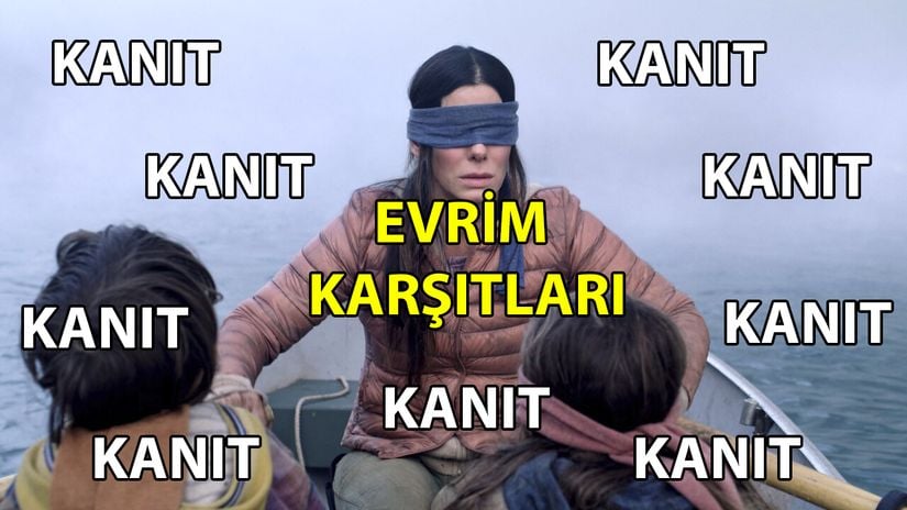 Bird Box sonrası yayılan memlere bir örnek...