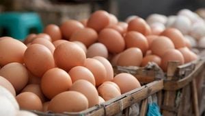 Finland Declines U.S. Egg Exports Due To Bureaucratic Hurdles