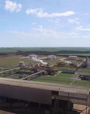 Grupo Pedra Agroindustrial Partners With TIM For 4G Coverage