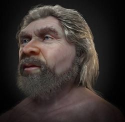 Neandertallerin dış görünümünün böyle gözüktüğünden emin miyiz (Günümüzdeki maymunlara benzer görünmediğinden bir maymun türü olmadığını vs)?