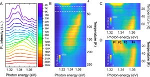 Large Exciton Binding Energy Discovered In Bulk Van Der Waals Magnet