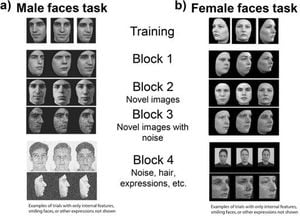 New Insights Into Stability Of Face Recognition Abilities