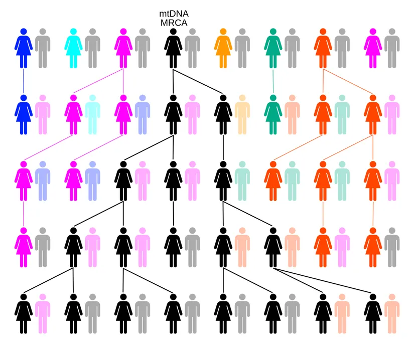 old%2Fcontent_media%2Ff504a72358462d3deb6dc69c85b45b66.png