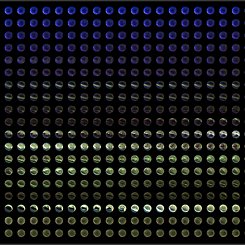  An Aurora of Marbles 